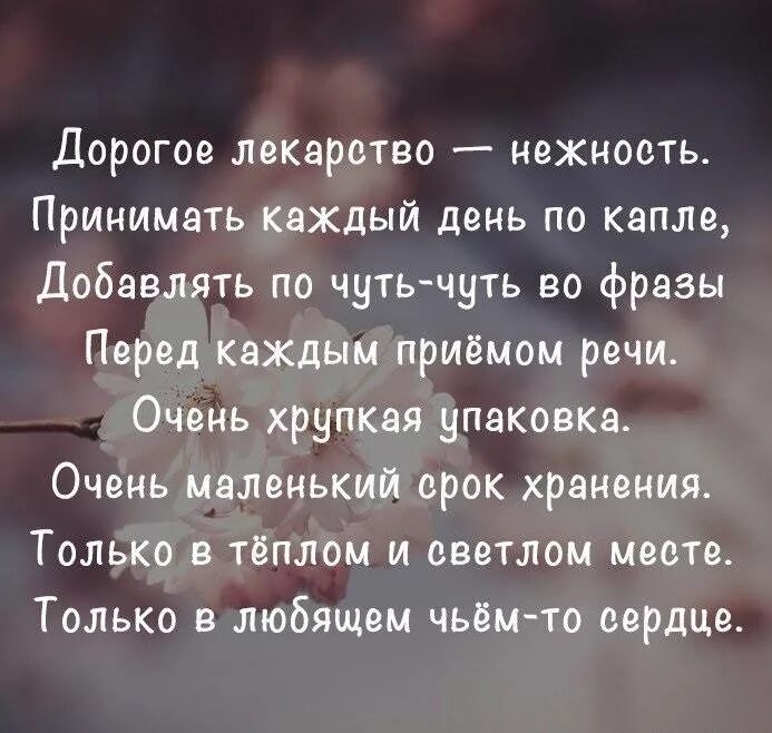 Нежность высказывания. Дорогое лекарство нежность. Нежность выражения. Фразы о нежности. Афоризмы про нежность.