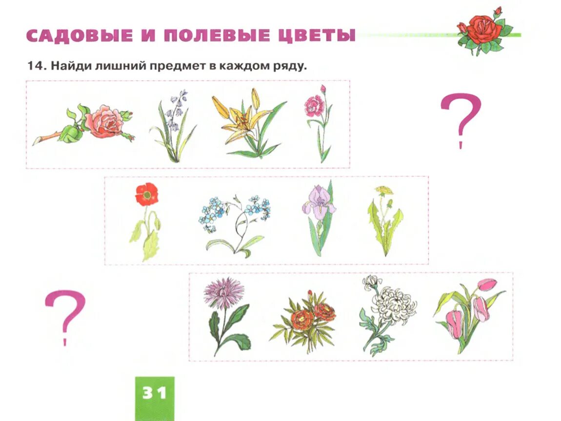 Лексической теме цветы. Цветы задания для дошкольников. Цветы карточки для детей. Лексическая тема цветы в старшей логопедической группе. Лексиче кая тема цветы.