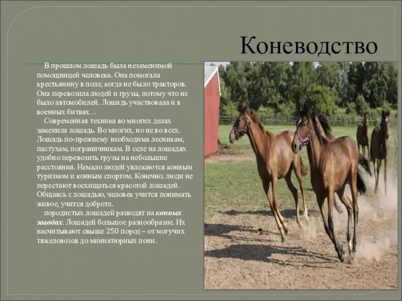 Рабочий лист животноводство 3 класс - найдено 90 картинок