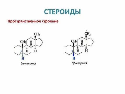 Названия стероидов