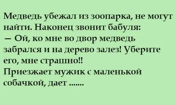 Анекдот про медведя. Детские анекдоты про медведя. Сбежал медведь из зоопарка анекдот. Анекдот про медведя и колокольчик. Анекдоты зоопарк