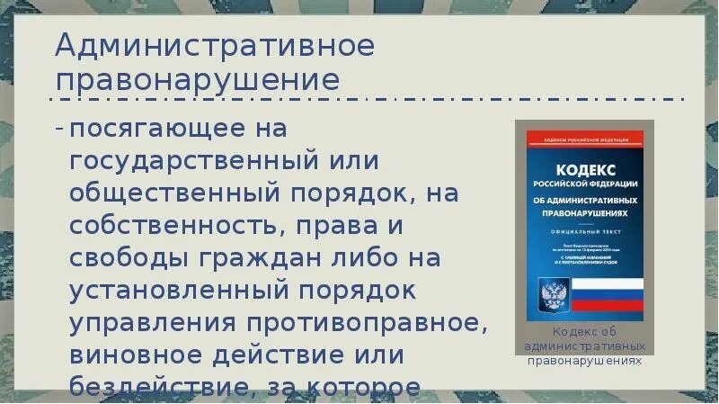 Административные правонарушения посягающие на общественный порядок. Правонарушения посягающие на общественную безопасность. Административное право посягающее на общественный порядок.