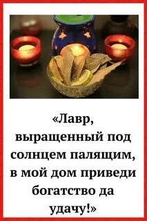 Заговор лаврового листа на деньги в кошелек