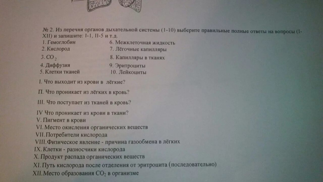 Из перечня органов дыхательной системы 1-10 выберите. Тест по биологии дыхательная система. Тест дыхательная система 8 класс. Тест 6 по биологии 8 класс дыхательная система.