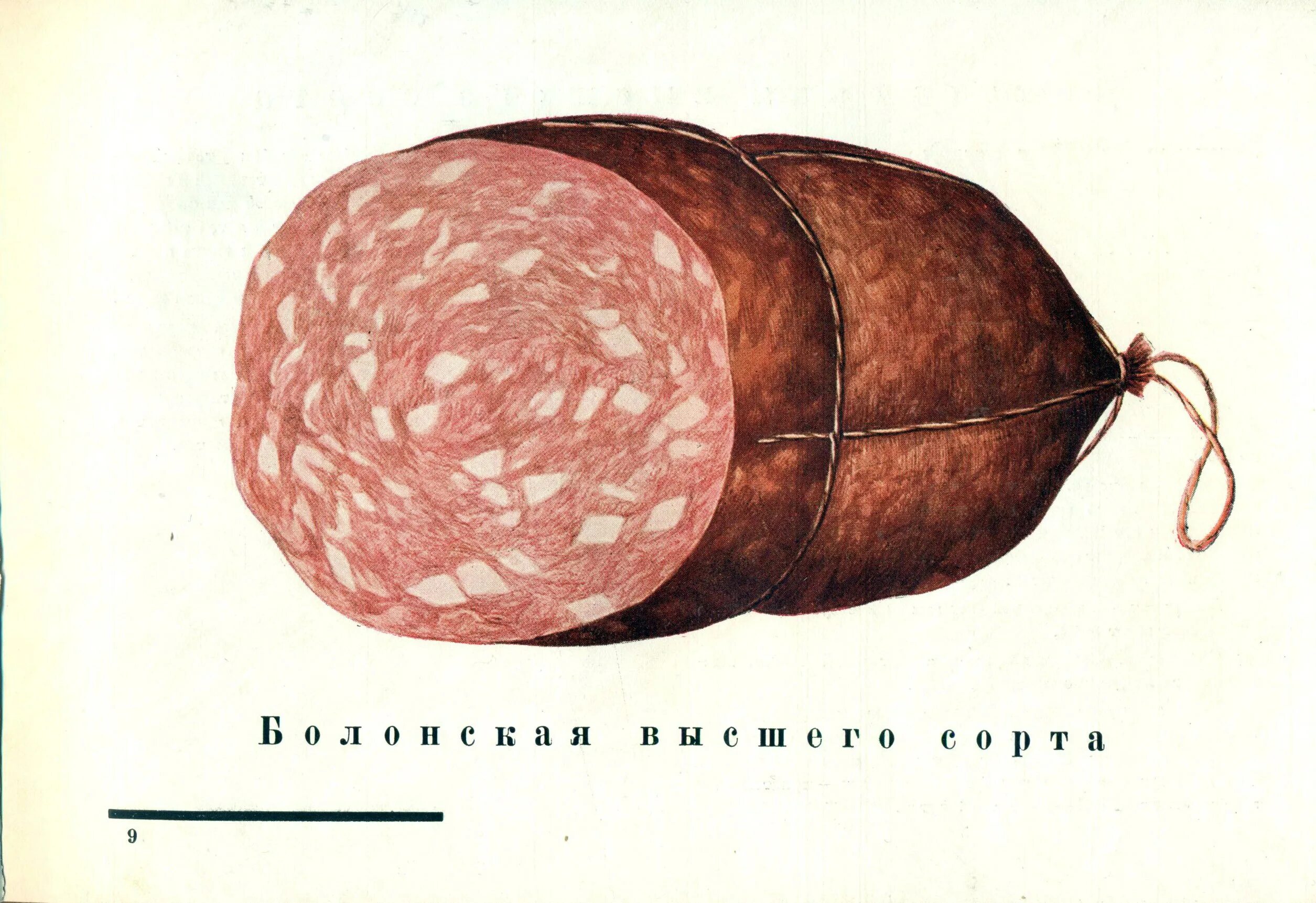 Советская колбаса. ГОСТ Советской колбасы. Советские колбасные изделия. Колбаса советских времен