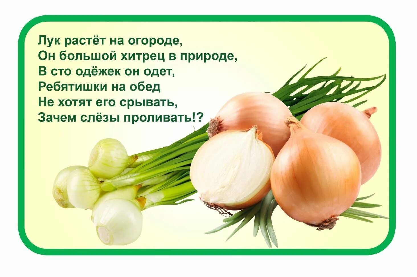 Надо есть лук. Стихотворение про лук. Детские стихи про лук. Детский стишок про лук. Стих про зеленый лук.