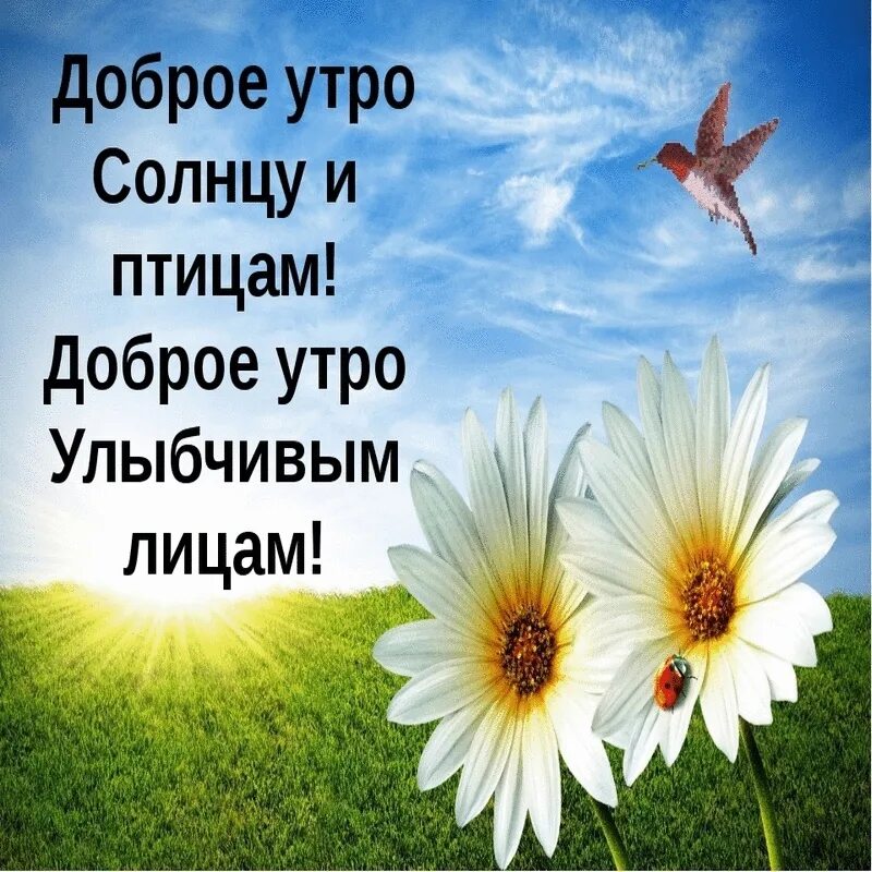 Пусть будет солнышко в душе. Добра с утра. Доброго мирного утра. Доброе утро хорошего дня мирного неба. Желаю утра доброго и солнечных лучей.