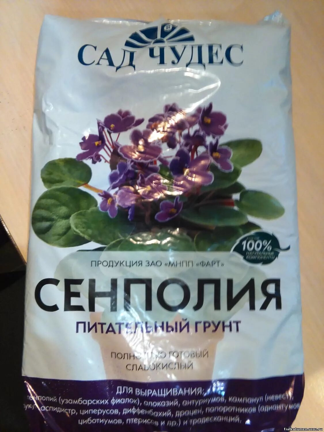 Какая земля подходит для женского счастья
