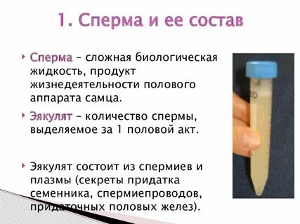 Qattiq yuzli porno onlayn tomosha qiling