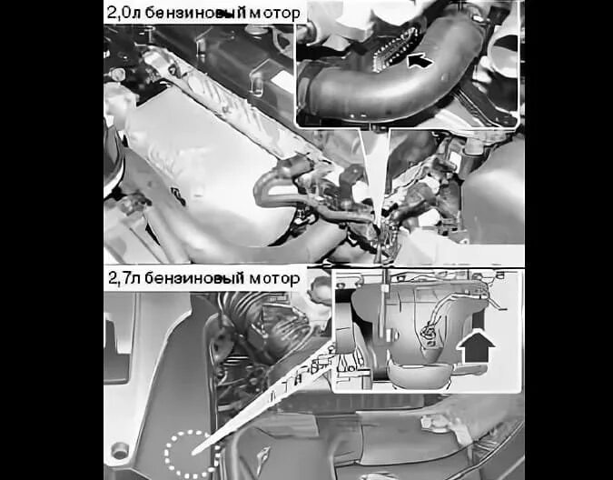 Номер двигателя киа рио 3. Кия Спортаж 1 2001 номер двигателя. Kia Sportage 2009 год 2 литра номер двигателя. Кия Спортейдж 2.0 номер двигателя. Киа Спортейдж 2 литра бензин номер двигателя.