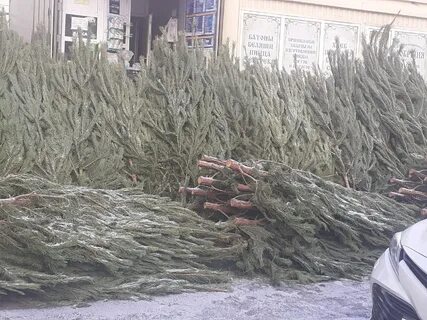 Елочный базар омск