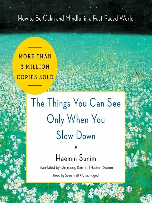 Can only be seen. Haemin sunim. the things you can see only when you slow down. the things you can see only when you slow down книга на русском. to be calm.