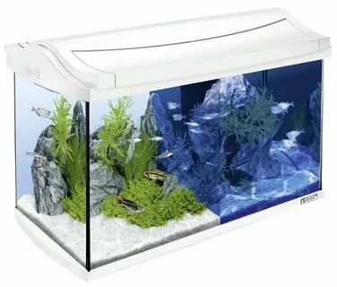 Производители аквариумов