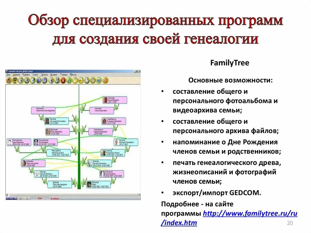 Генеалогическое дерево семьи является сетевой информационной моделью. Алгоритм построения генеалогического дерева. генеалогическое программное обеспечение. построение генеалогическое древо практическая работа.