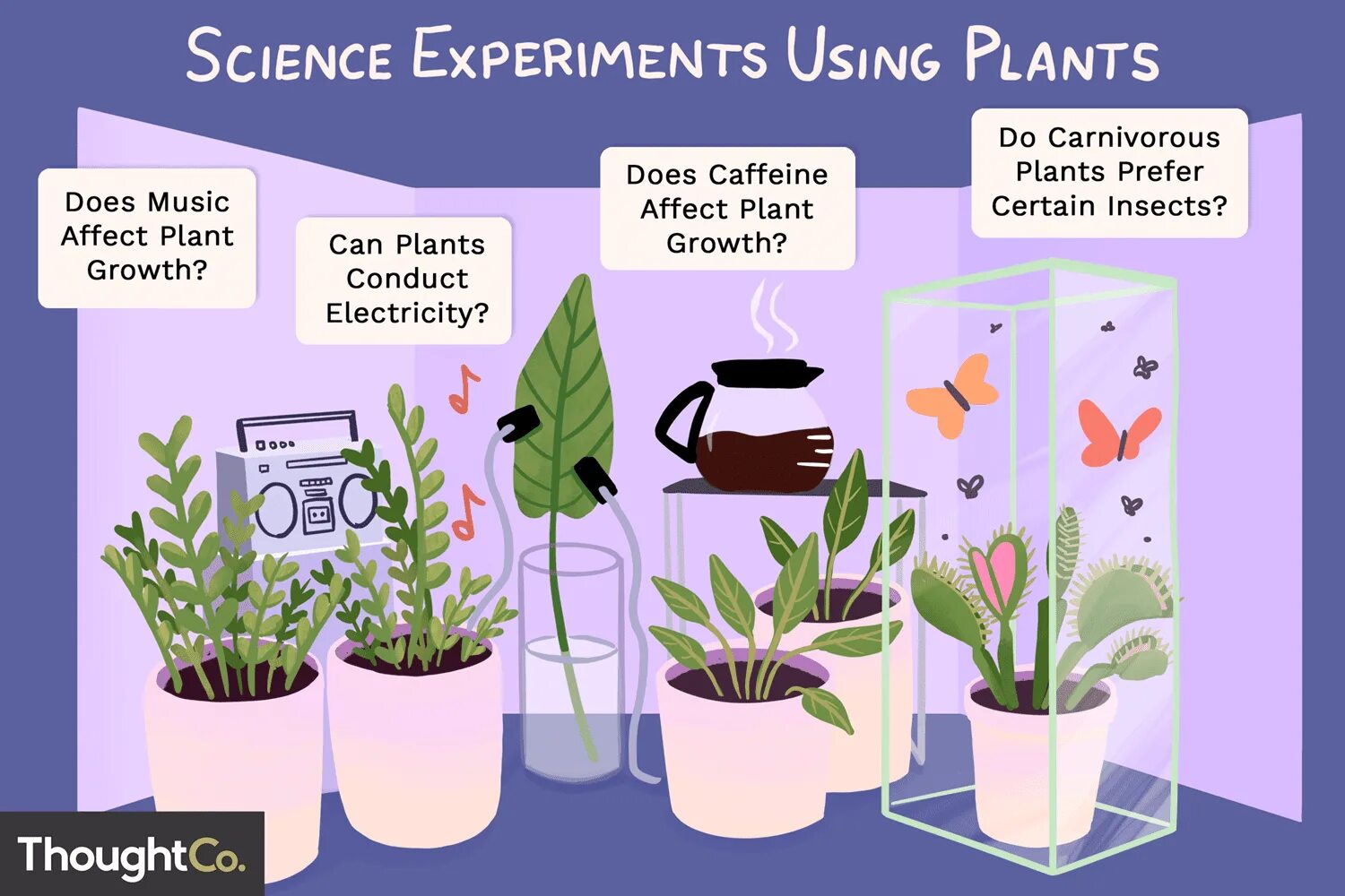 Simply plants. Эксперименты с растениями. Опыты с растениями. Опыты над растениями. Научный эксперимент с растениями.