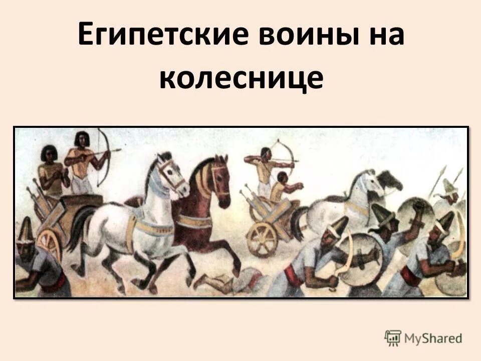 Военные походы фараонов впр. Драка на колесницах. Колесница Египет Золотая. Опишите колесницу египтян.. Воин в квадриге.