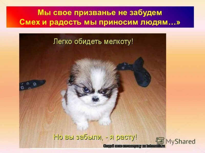 смех и радость мы приносим людям. мы свое призвание не забудем смех и радость. бременские музыканты текст песни. радость мы приносим людям. мы своё призванье не забудем смех.