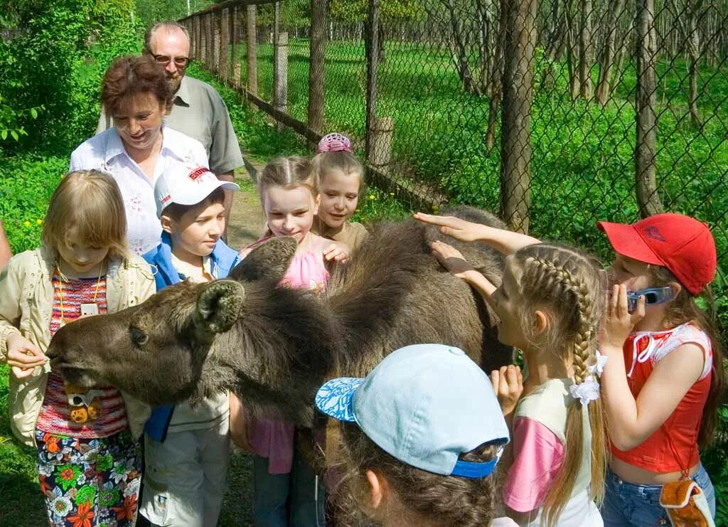 Лосиная ферма зеленоград. Лосиная ферма сумароково кострома. Лосиная ферма зеленоград. Сумароково кострома. Лосиная ферма кострома на карте.