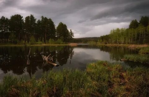 Какая погода в лесном