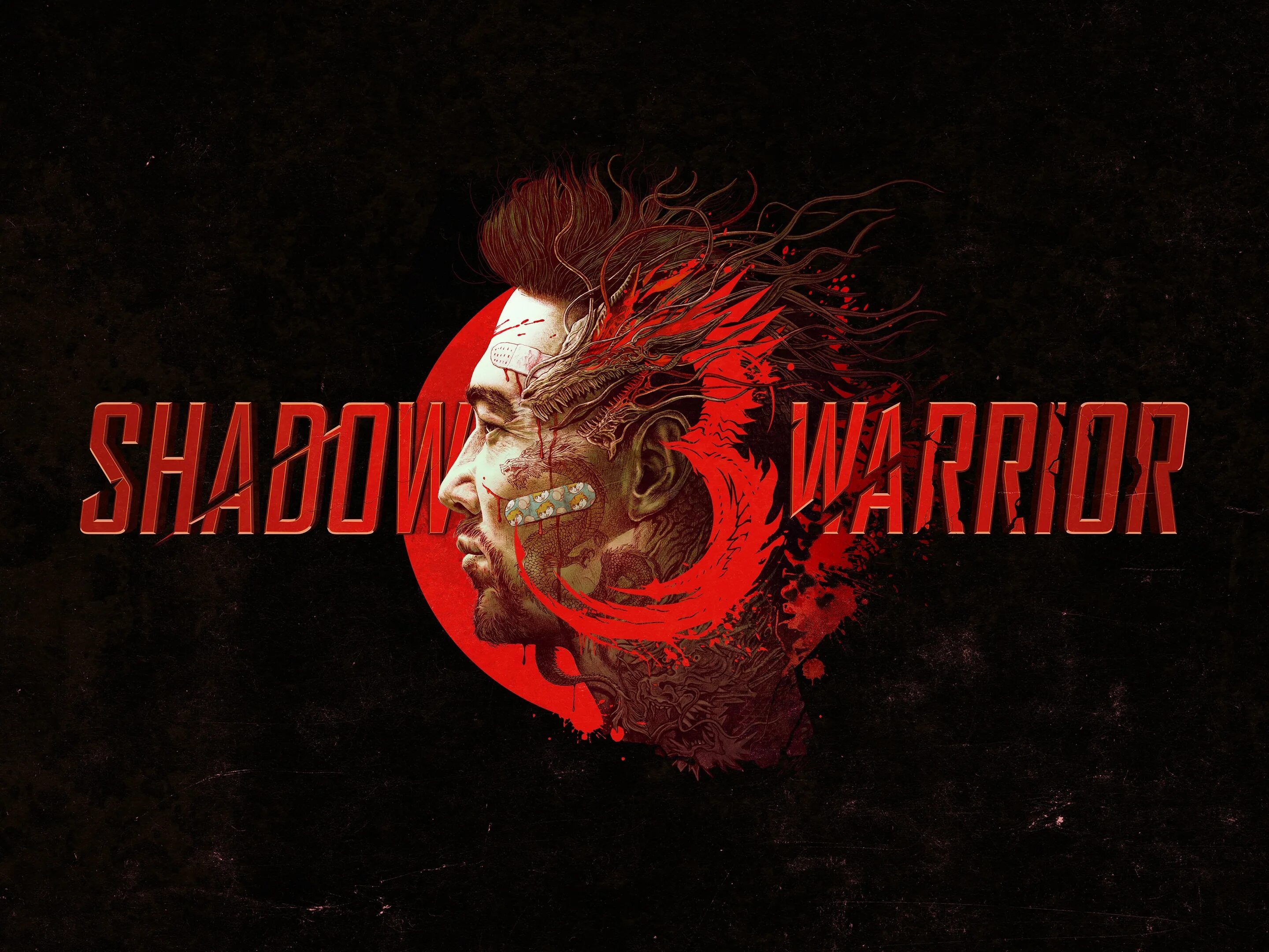 Shadow Warrior. Shadow Warrior 3. Shadow Warrior (игра, 2013).