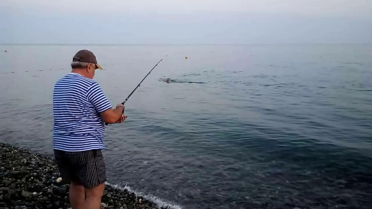 Костя полные кефали. Кефаль Сочи. Рыбалка в Сочи. Кефаль в черном море. Морская рыбалка Сочи.