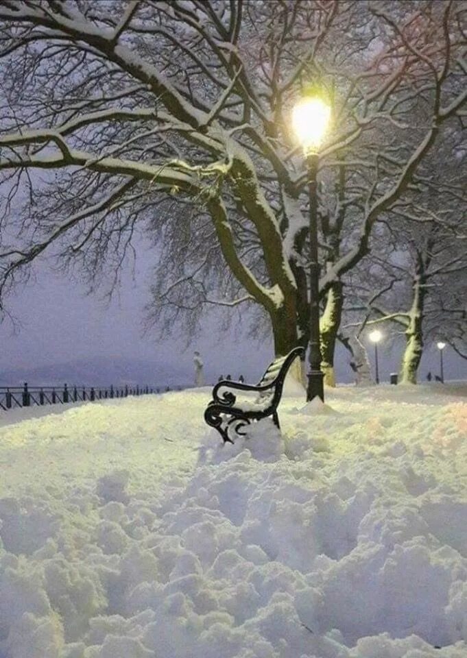 Winter is wonderful. Зимний лес с рекой. Winter is wonderful. Зима эстетика. Snowing nature pictures for profile.