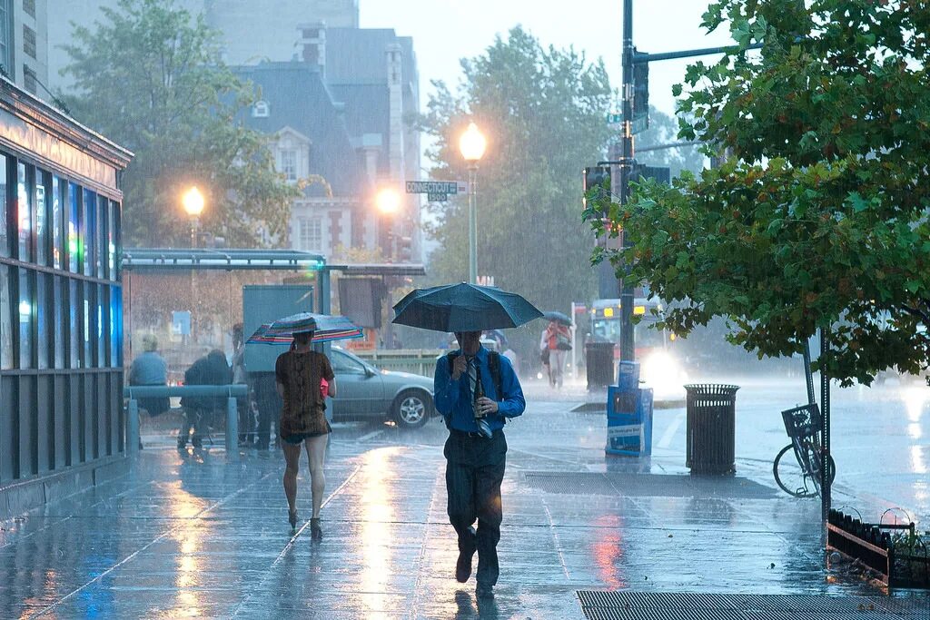 The day the rains came. Дождливая погода. Дождь с ветром в городе. Rainy weather дождь. Дождь в Ницце.