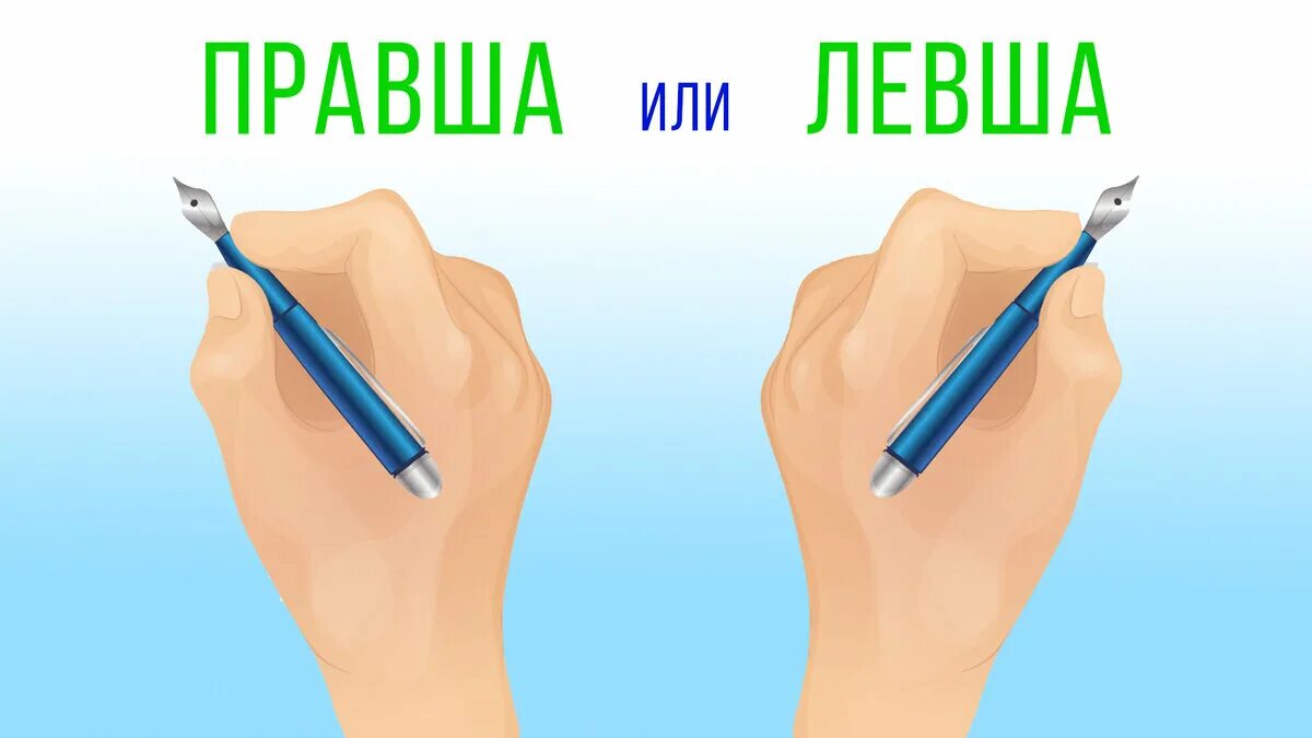 Левша отметки. Левша или правша. асимметрия левша правша. мармок левша или правша. праворукость.