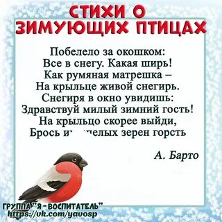 Стихи про птиц зимой