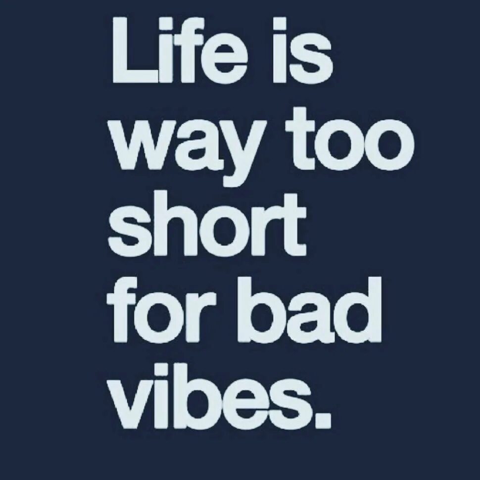 Коала. Коала фото. Too true. Too true. Pitbulis.