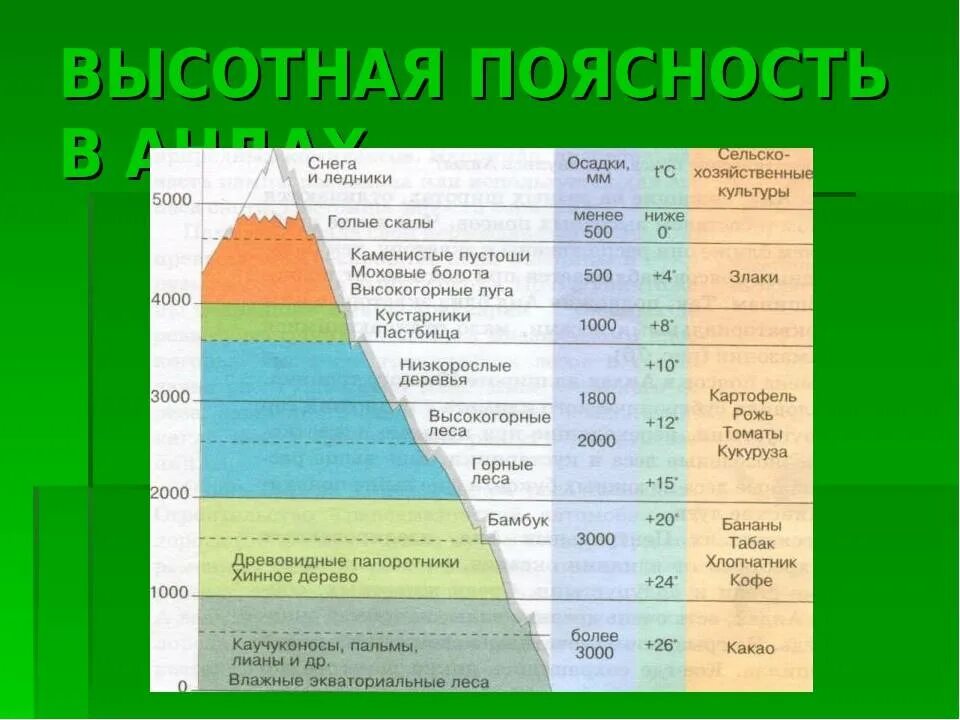 Высотные пояса. Название высотных поясов. Высотные пояса Карпат. Природные зоны горных областей 4 класс.