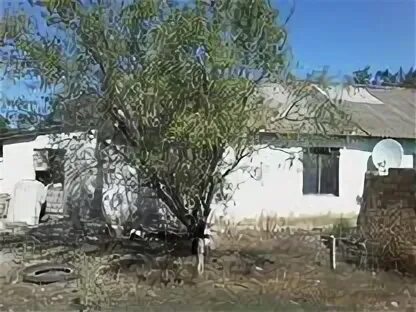 Кукушкино раздольное. Зимино раздольненский район крым. Село кукушкино крым. Кукушкино крым. Кукушкино раздольное.