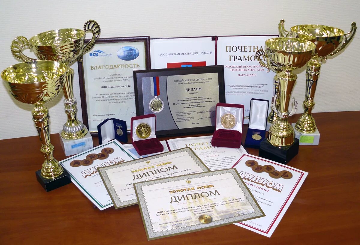 Картинка наши награды и достижения. Наши награды и достижения. Грамота с кубком. Наши награды и достижения. Кубки медали грамоты.