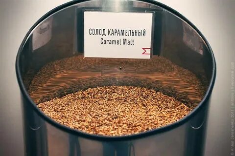 Производство солода