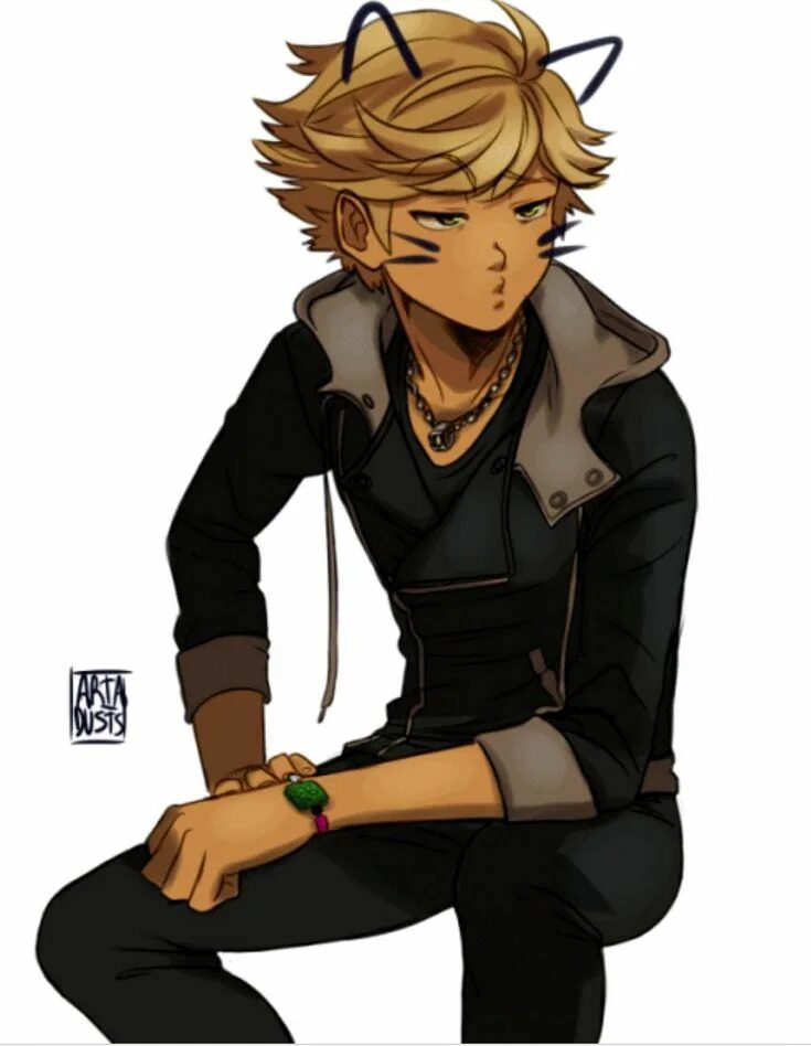 Miraculous ladybug x reader