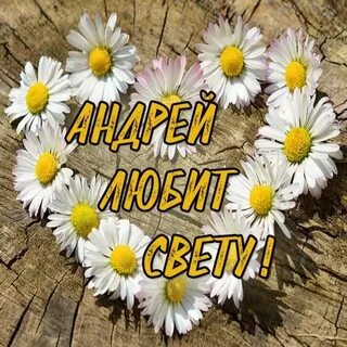Прикольные картинки полине