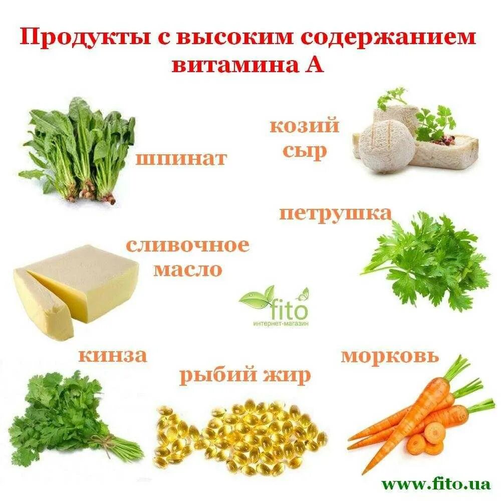 Продукты с высоким содержанием витамина а