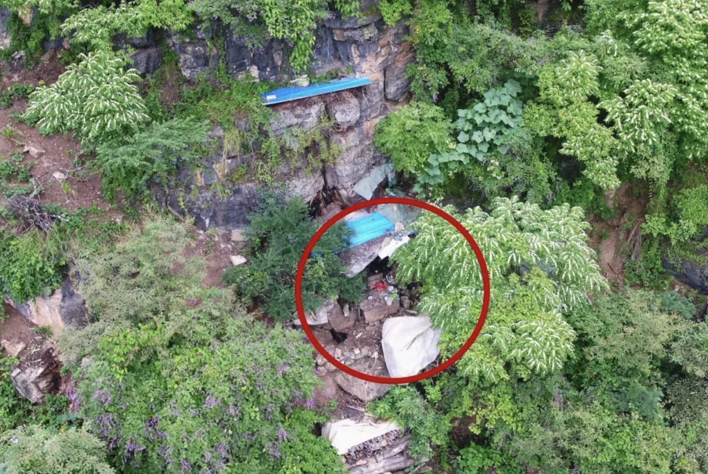 Человек проживший под землей. Человек с дроном в лесу. Снимки людей в лесу с квадрокоптера. Снимки с дрона поиска людей. В горах скроюсь.