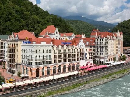 Golden tulip rosa khutor