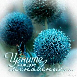 И каждую минуту и каждое мгновение