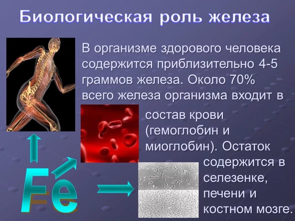 Роль железа в организме человека. Иоль железа в организме. Биологическая роль железа в организме. Биологическая роль железа для человека.