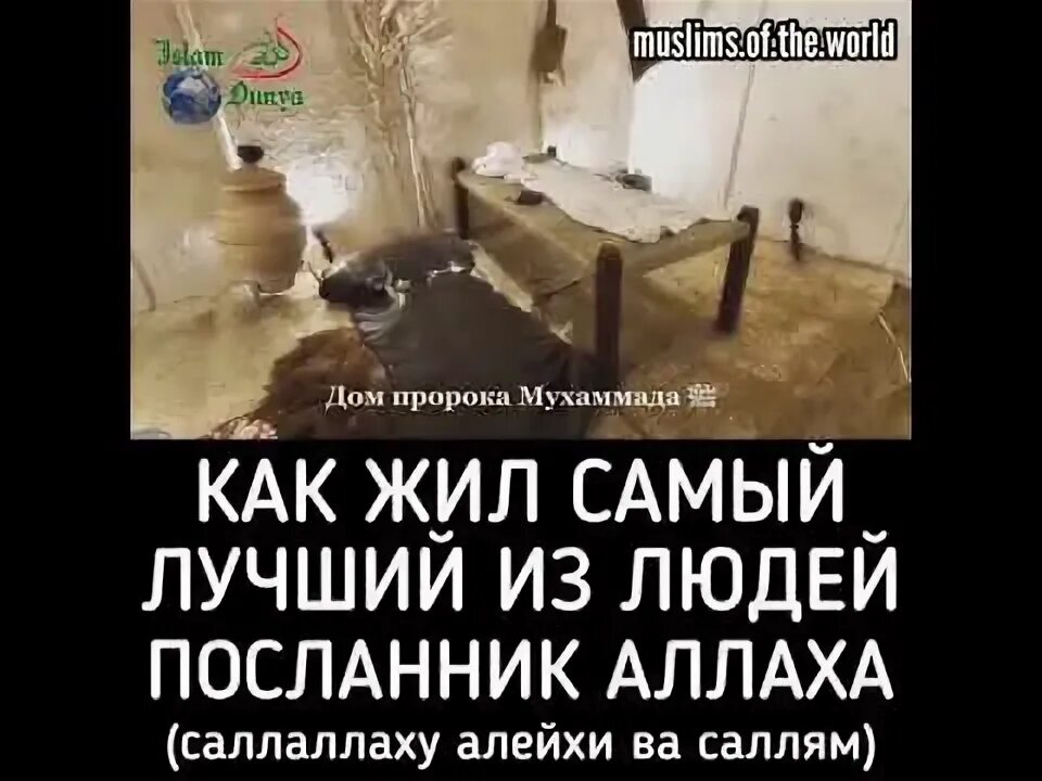 Уа саллям. Пророк Мухаммад саллаллаху. Хадис пророк Мухаммад саллаллаху алейхи. Пророк Мухаммад саллаллаху алейхи ва саллям биография. Мухаммед пророк саллаллаху алейхи ва саллям.