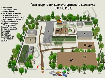 План территории хозяйства