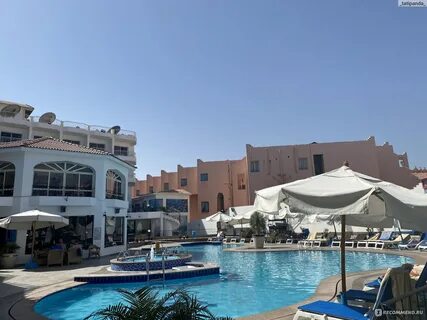 Хургада minamark resort spa 4 отзывы