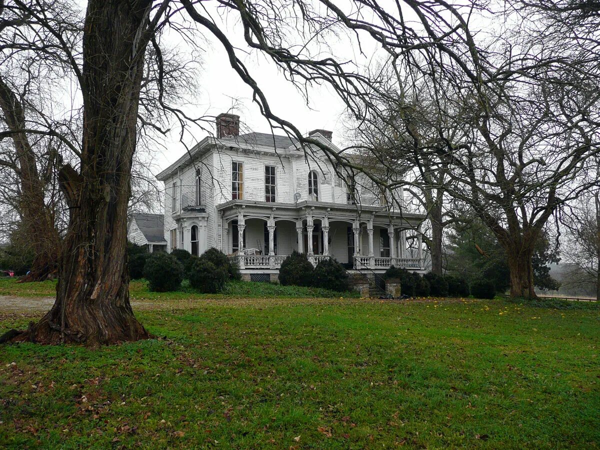 Richard s house. Нойтра архитектор. Холмы гравюра. Испаноязычные в калифорнии. Розовая архитектура.