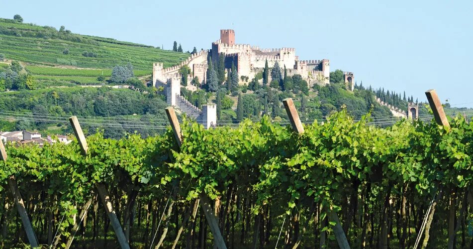 Венето Италия виноградники. Винодельческий регион Венето Италия. Соаве регион Венето. Вино венето италия