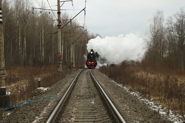 Станция Подберезье. Чудово Великий Новгород. Станция Чудово Новгородская область. Поезд Чудово Великий Новгород. Билеты чудово великий новгород