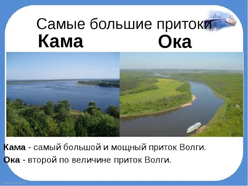 Крупные правые и левые притоки. Река Волга притоки Ока и Кама. Реки Волга притоки реки Волга. Притоки реки Волги 4 класс. Река Ока приток Волги.