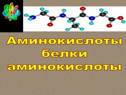 Белки и аминокислоты биология