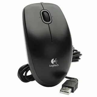 Mouse b